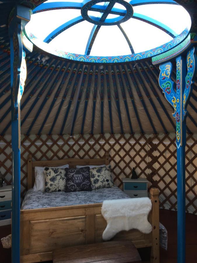 French Fields Luxury Glamping Original Mongolian Yurt Hotell Le-Vieux-Cerier Eksteriør bilde