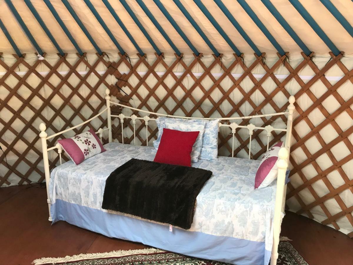 French Fields Luxury Glamping Original Mongolian Yurt Hotell Le-Vieux-Cerier Eksteriør bilde